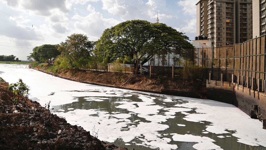 An urban river in Bangalore, India, is covered in white toxic foam.