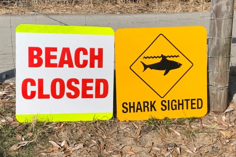 A beach closed sign at Kingscliff