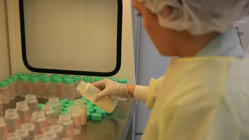 Woman in lab coat, gloves, hair cover pours breastmilk into baby bottles in a lab.