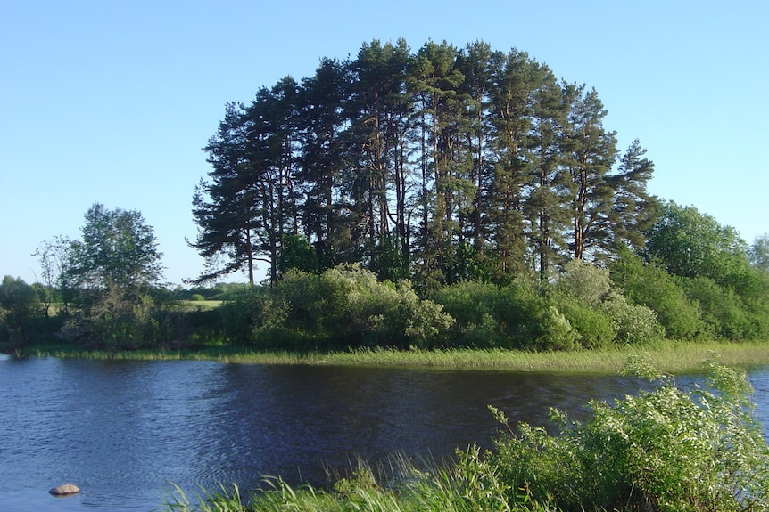 Stone Age shell midden on the banks of the Salaca River