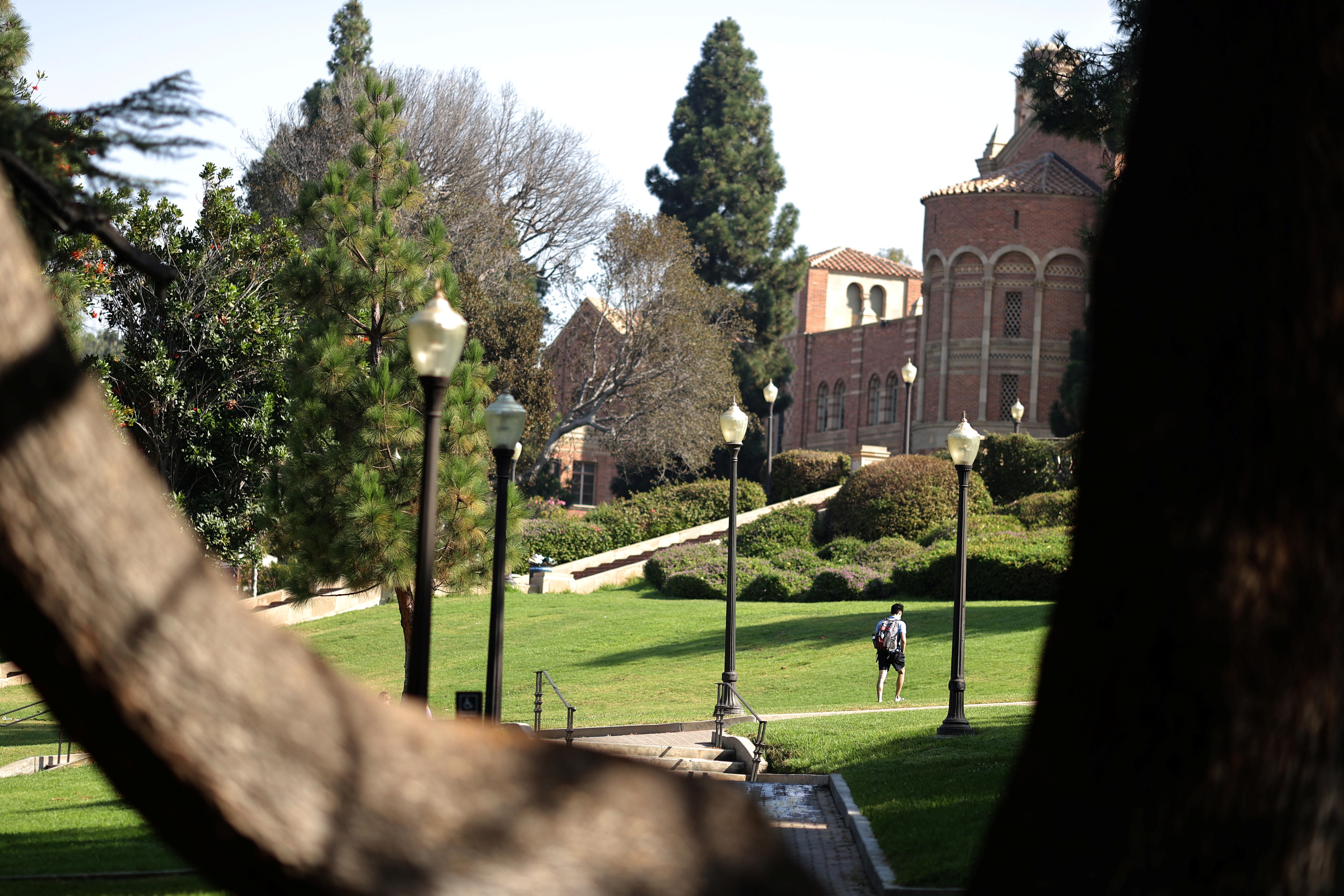 A student walks through the University of California campus which is surrounded by greenery