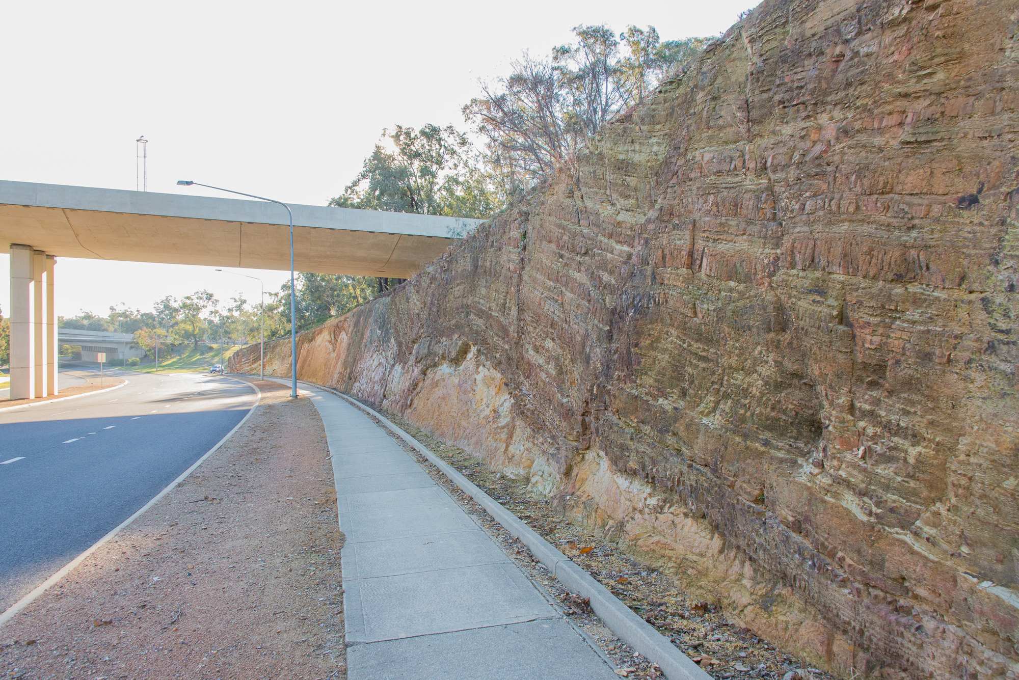 Ancient marine fossils preserved under a busy Canberra bridge ABC News