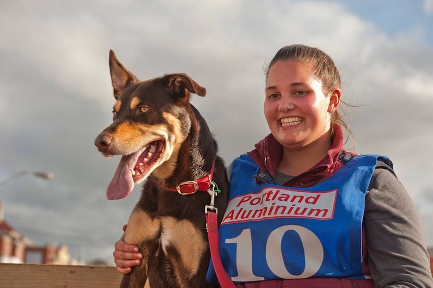 Three-year-old kelpie Bailey breaks world record