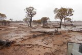 Drought-affected land in north-west Queensland has turned to mud after weekend rain.