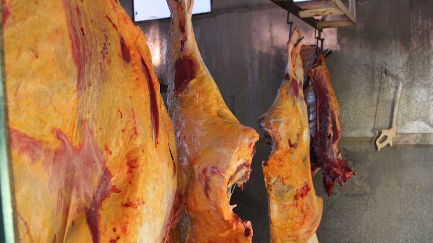a quartered carcass of a cow hanging on hooks