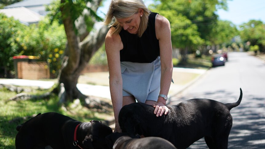 Julie Gilbert plays with three dogs.