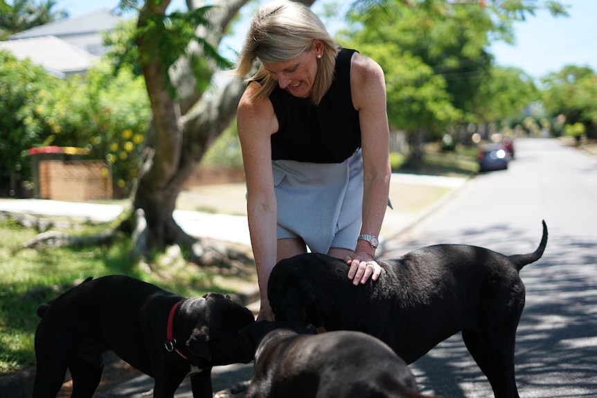 Julie Gilbert plays with three dogs.