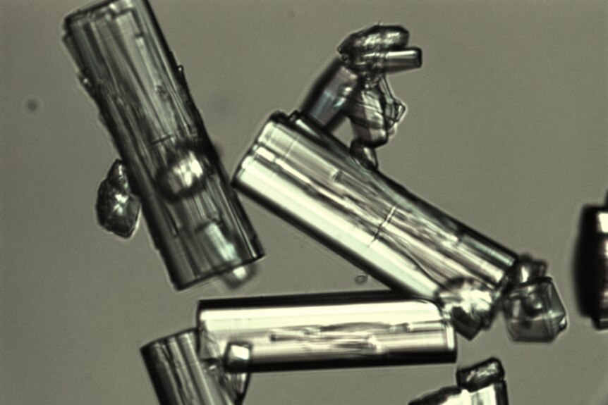 Metal shards under a microscope.