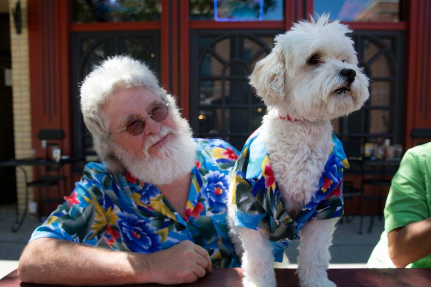 Older man in Hawaiian shirt with Maltese terrier, also in Hawaiian shirt