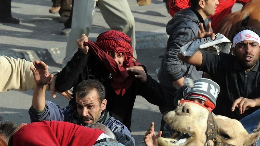 Pro-government supporters, on horses and a camel, clash with anti-regime protesters in Cairo