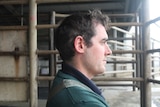 Will Ryan stands and looks out over his dairy farm.