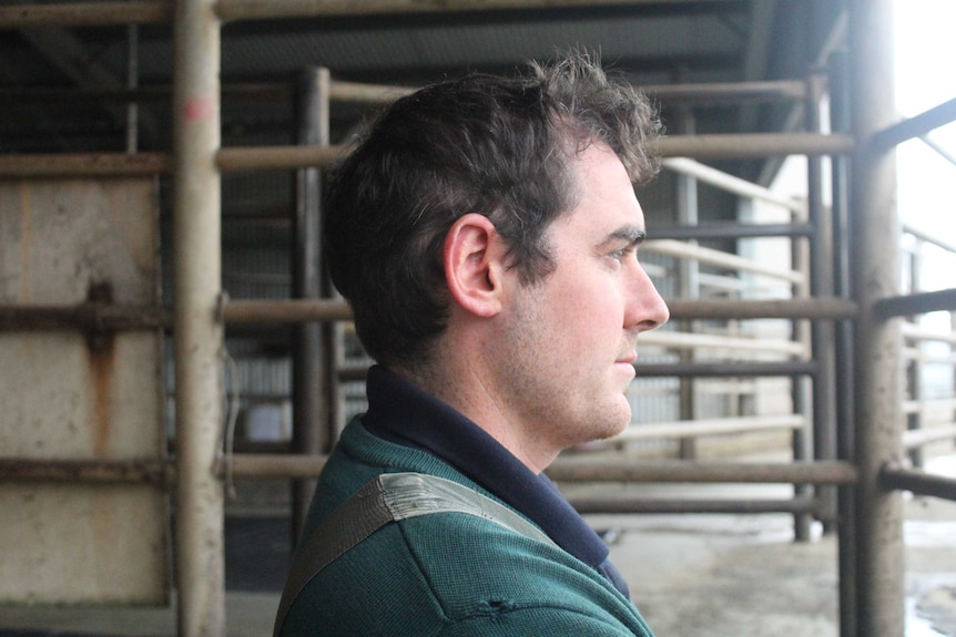 Will Ryan stands and looks out over his dairy farm.