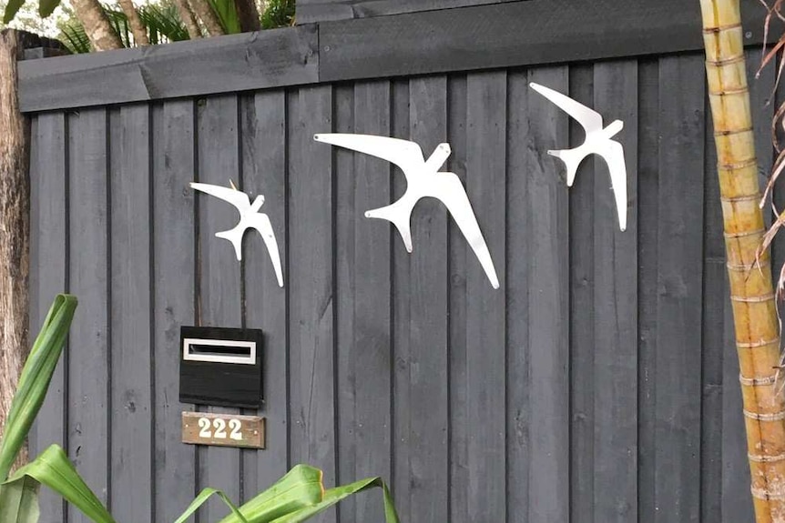 Three metal birds nailed across a wooden front fence.