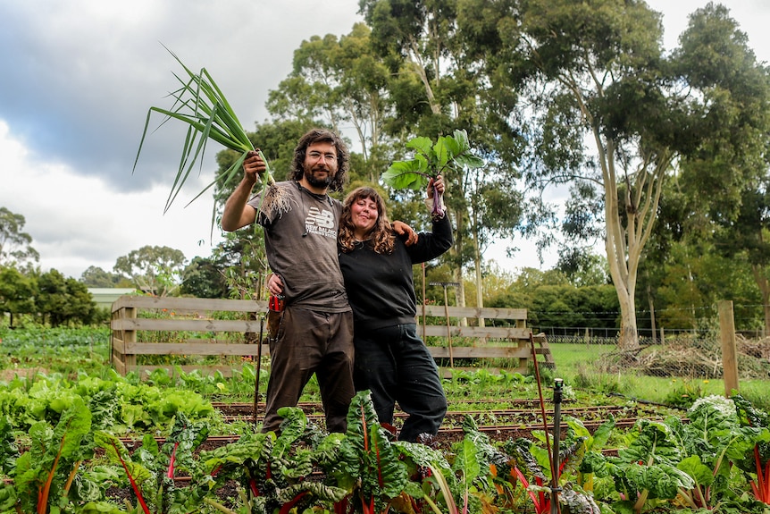 A young man and woman stand amid a row of vegetables holding spring onions and kohlrabi with trees and farmland behind them