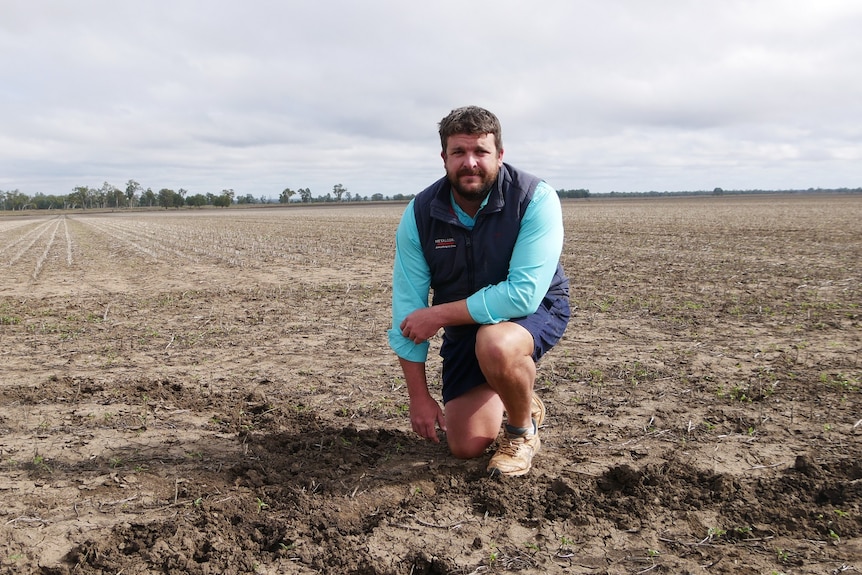 A man kneels in front of feral pig tracks on a farm.