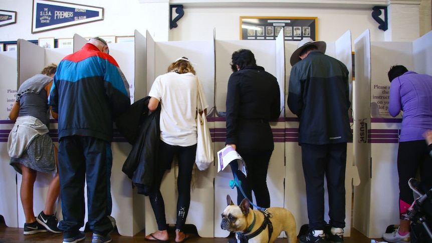 A dog stands as voters cast their ballots at a polling station during a federal election in Sydney. May 18, 2019.