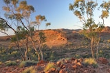 Greens hope wilderness area of Arkaroola in the Flinders Ranges will be fully protected from mining