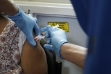 A person's hands in blue gloves, putting a needle into the shoulder of a woman sitting down.
