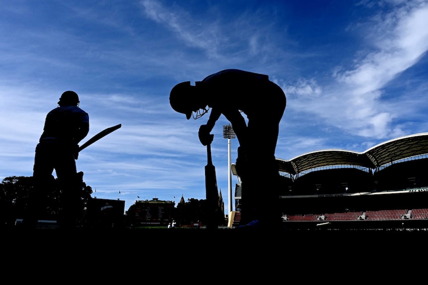 Two batsmen appear in silhouette as they get ready to bat in a Sheffield Shield match.