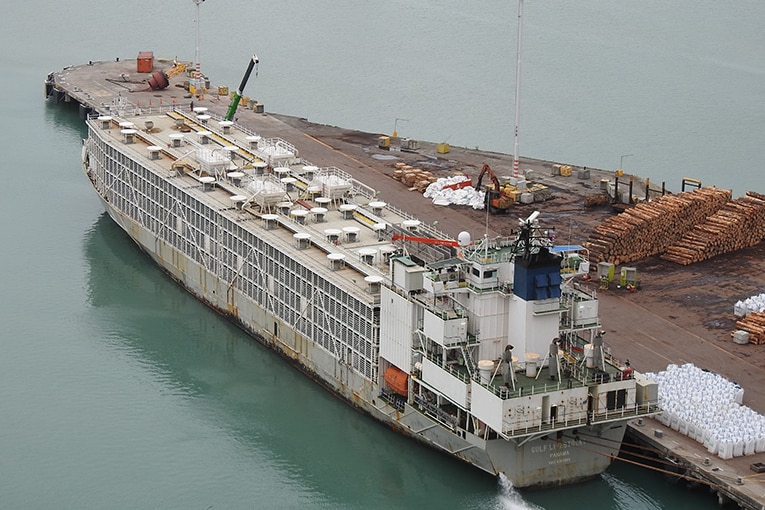 A live export ship at port.