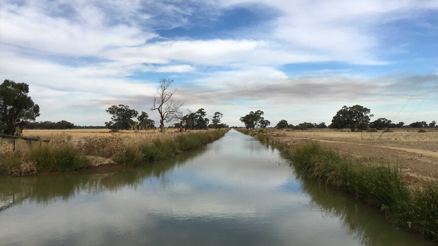 An irrigation channel runs between two paddocks near Deniliquin, in the NSW Riverina region.
