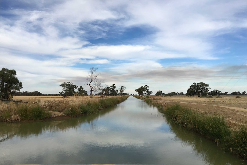 An irrigation channel runs between two paddocks near Deniliquin, in the NSW Riverina region.