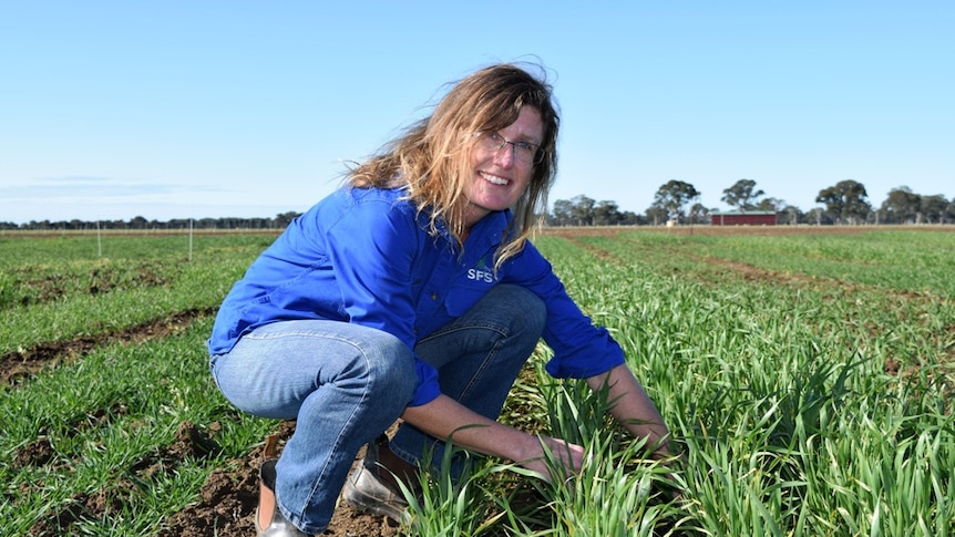 Southern Farming Systems Gippsland branch coordinator Janice Dowe at a cropping trial site near Bairnsdale.