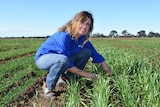 Southern Farming Systems Gippsland branch coordinator Janice Dowe at a cropping trial site near Bairnsdale.