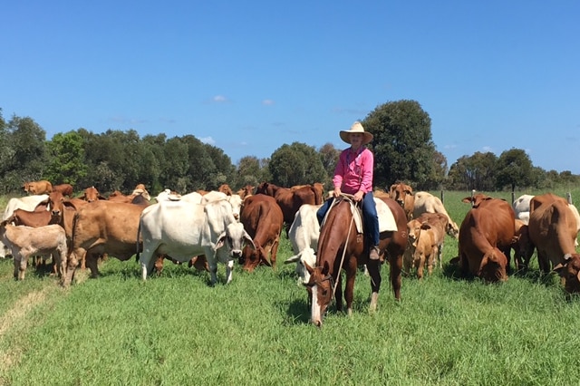 Gayle Parker on a horse with cattle grazing behind her.