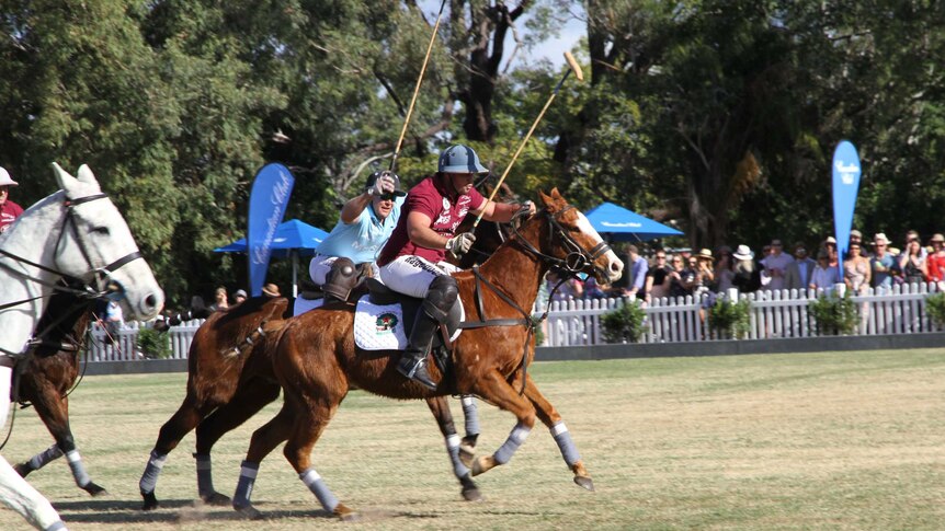 'Bringing polo to the people' - sport of kings comes to regional Queensland.