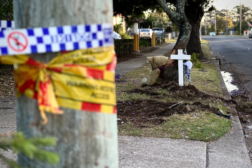 Flowers and teddy bear left near site of a car crash