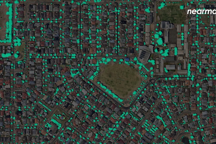 An aerial photo highlighting the number of trees in surburban streets