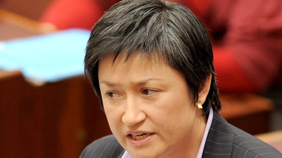 Penny Wong in the Senate on November 27, 2009.