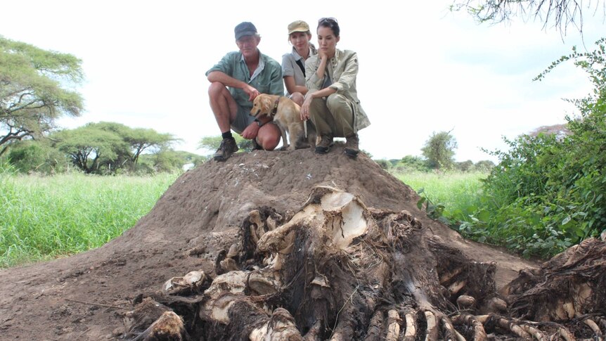 Richard Nadya and Tammie Matson on an elephant carcass