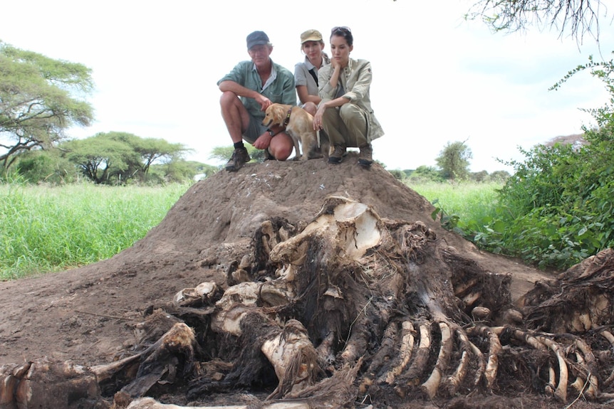 Richard Nadya and Tammie Matson on an elephant carcass