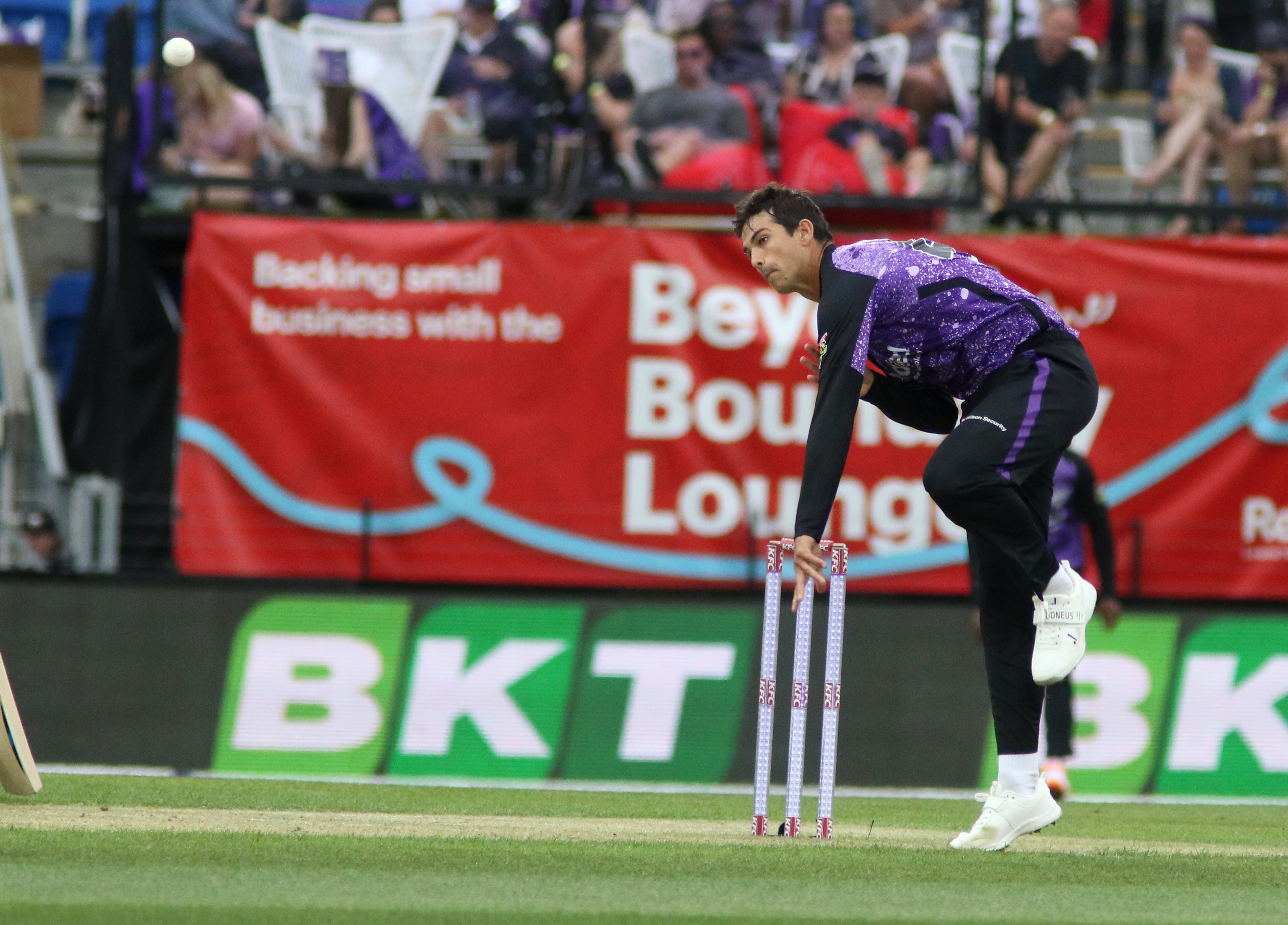 a cricketer in purple uniform is bowling a ball on a cricket field with wickets behind him