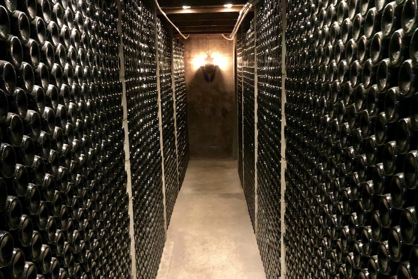 Rows of wine bottles stacked along the walls in the cellar of Chateau Yaldara.