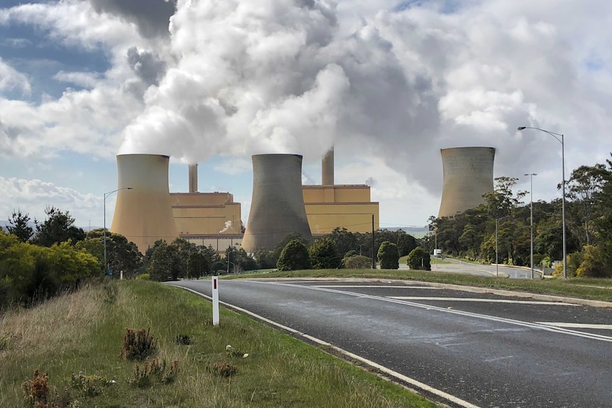 A coal-fired power station in situated among grass and trees.