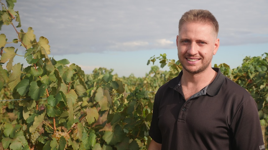 A man standing near a grape vine smiling at the camera