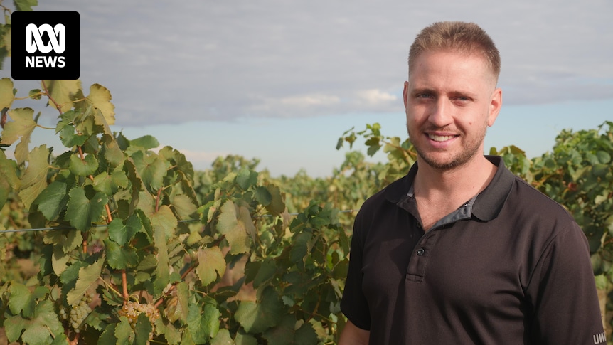 Der Weinbauer setzt auf italienische Nischensorten, da die Branche unter der weltweiten Weinschwemme leidet