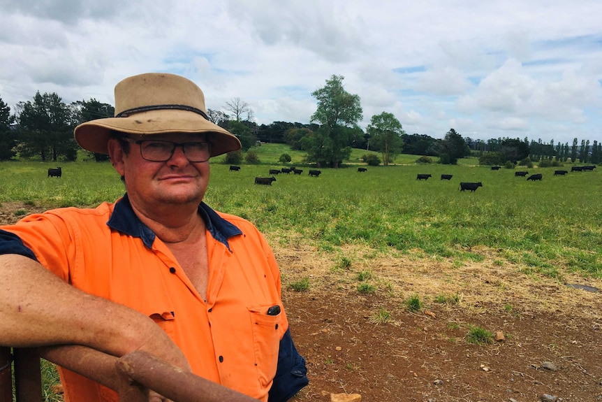 A man in an orange shirt leaning against a fence post with green grass and cattle in the background.