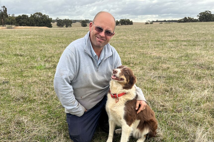A man kneels down with arm around a brown border collie.