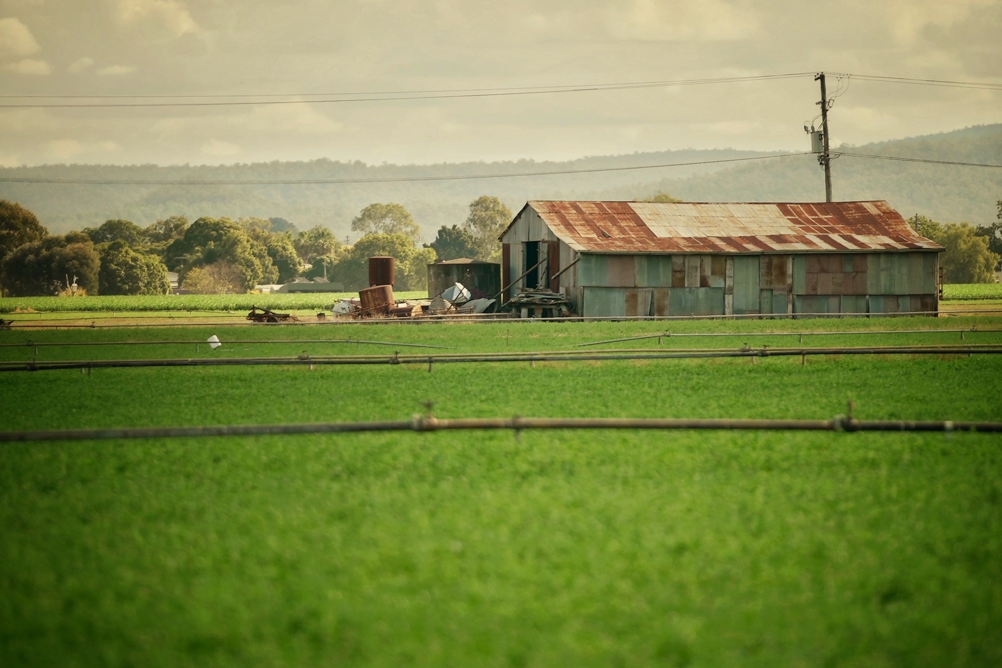 Shed in green field