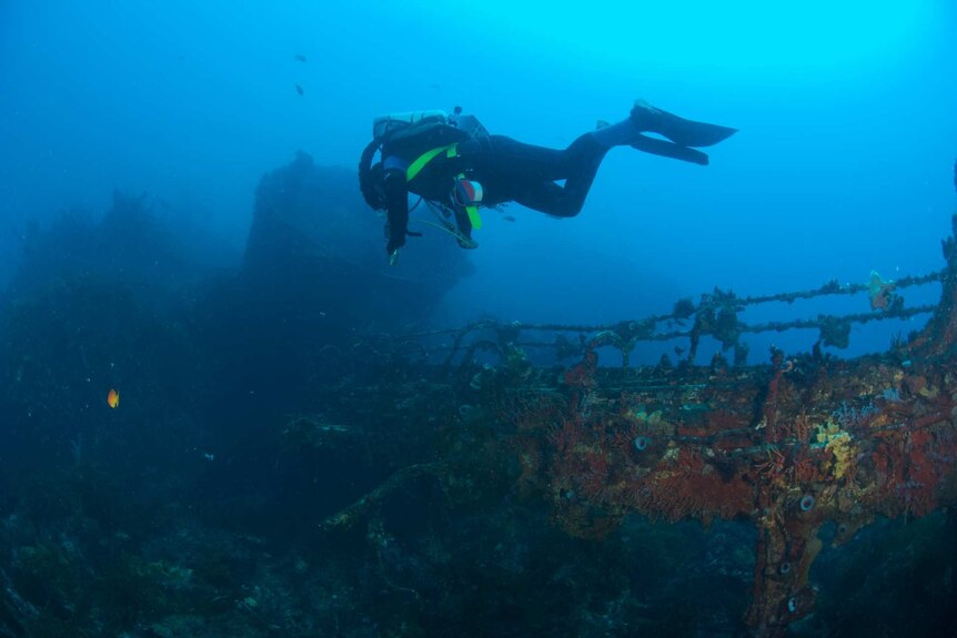 A scuba diver drifts past a shipwreck.