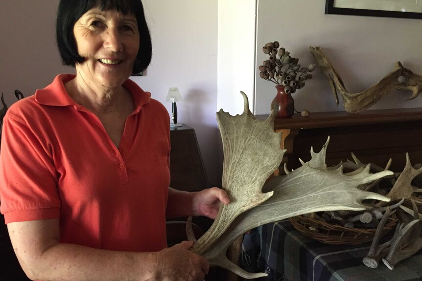 Rosemary Moore holds a pair of deer antlers
