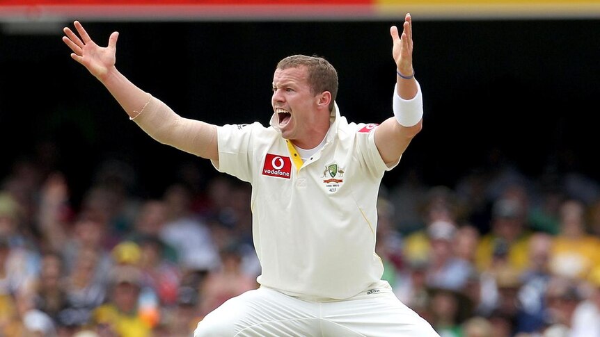 Hunger for more ... Peter Siddle hopes to repeat his Brisbane haul of two years ago.