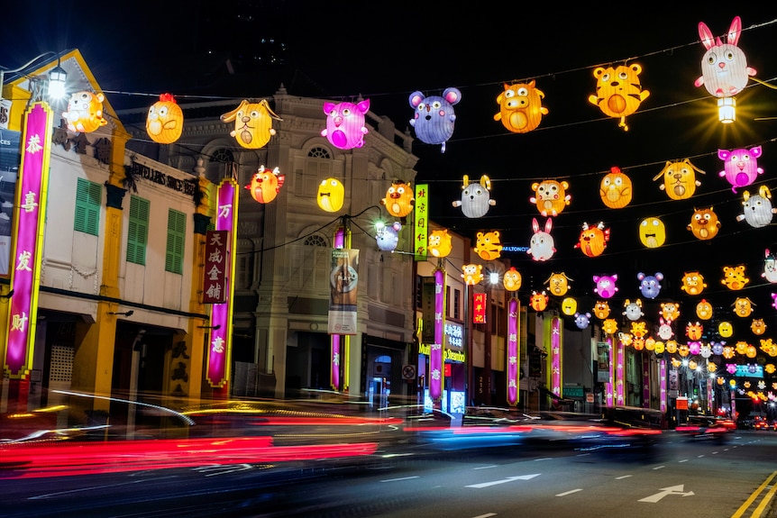 Rows of lanterns in the shape of various animals fill the streets in Singapore