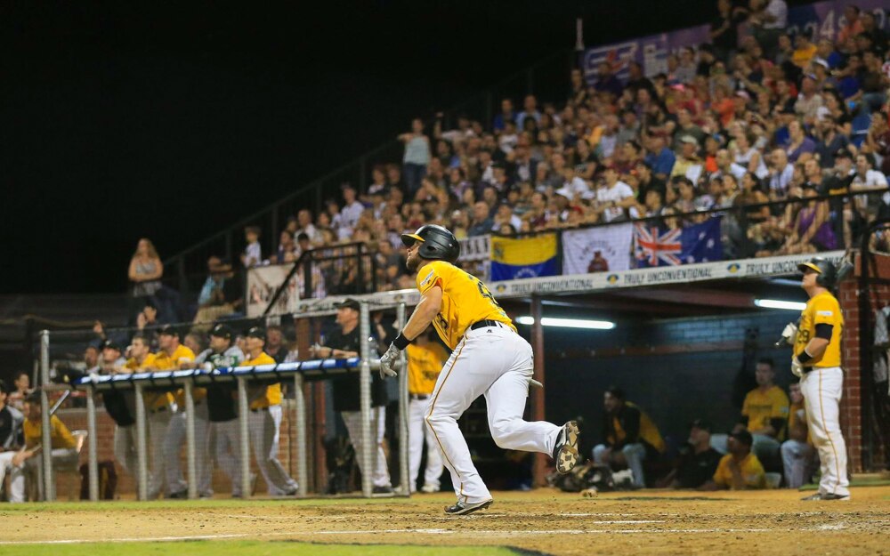 Brisbane Bandits bring Australian Baseball League playoffs to the