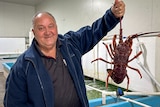 A smiling, middle-aged man in a jacket stands next to a row of tanks and holds up a large lobster.