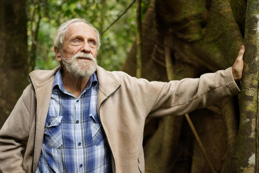 A 77-year-old man with white hair and beard looks up at tree canopy